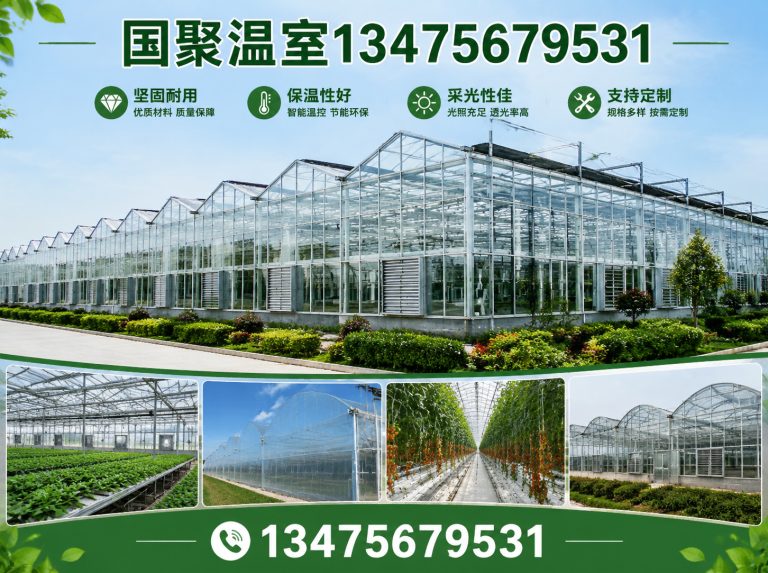 寒亭区国聚温室展示图
