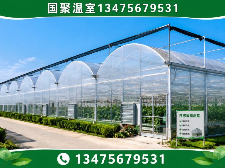 寒亭区青州温室展示图